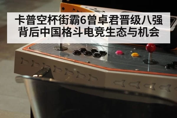 arcade fight stick controller closeup